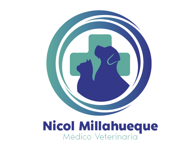 Nicol Millahueque